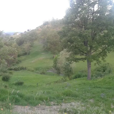 Ferme De Sejour Rebuffel Κατάλυμα σε φάρμα La Roque-Esclapon