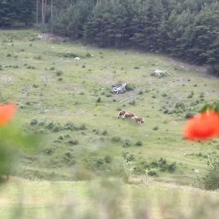 Κατάλυμα σε φάρμα Ferme De Sejour Rebuffel