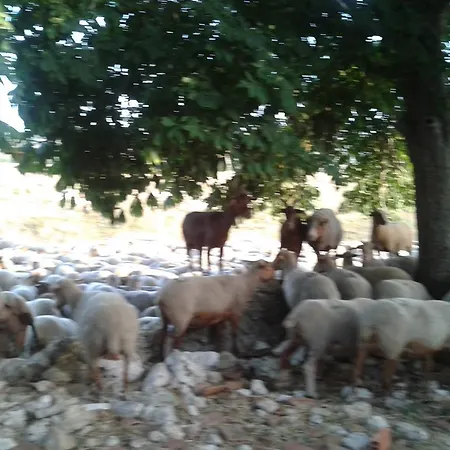 Ferme De Sejour Rebuffel La Roque-Esclapon